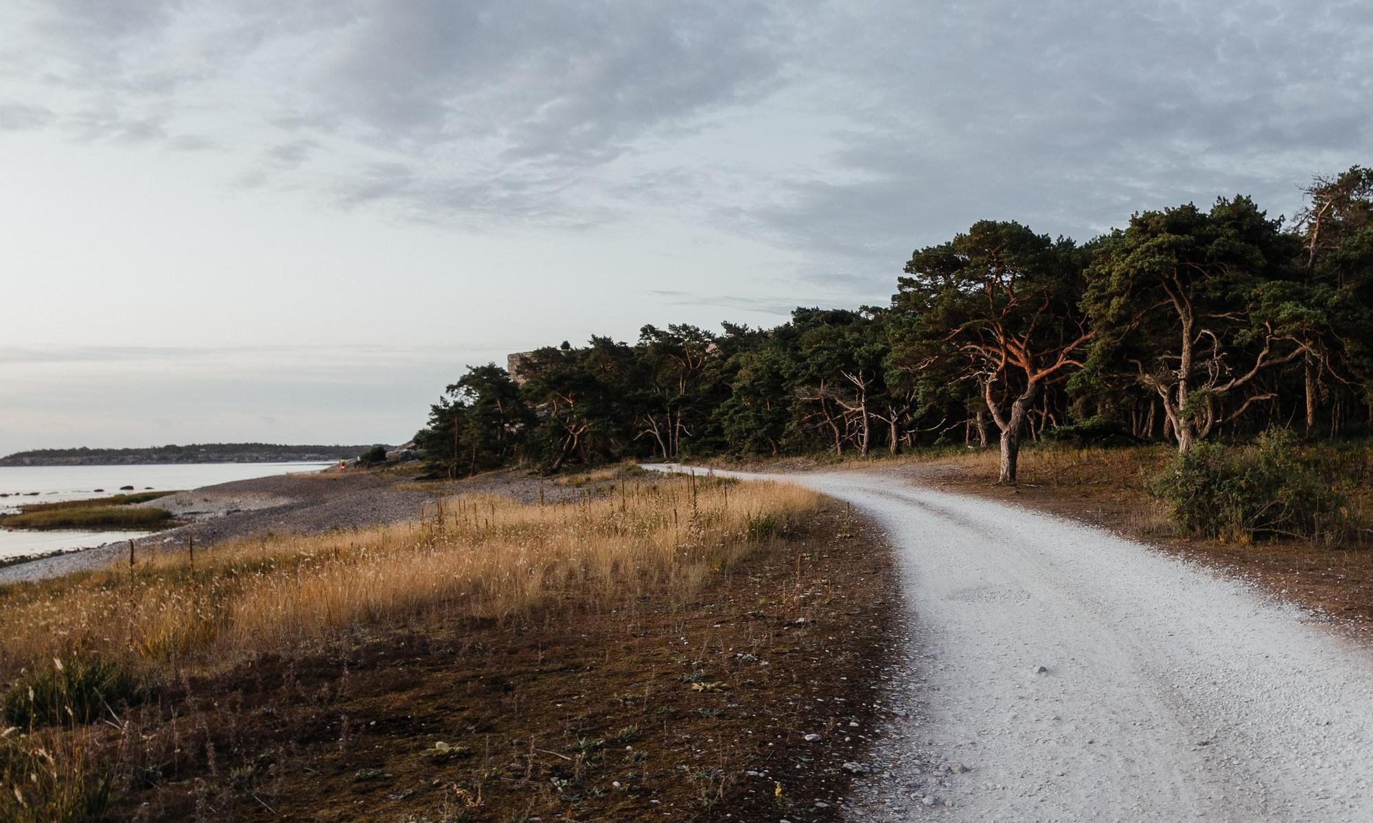 Grusväg på Gotland